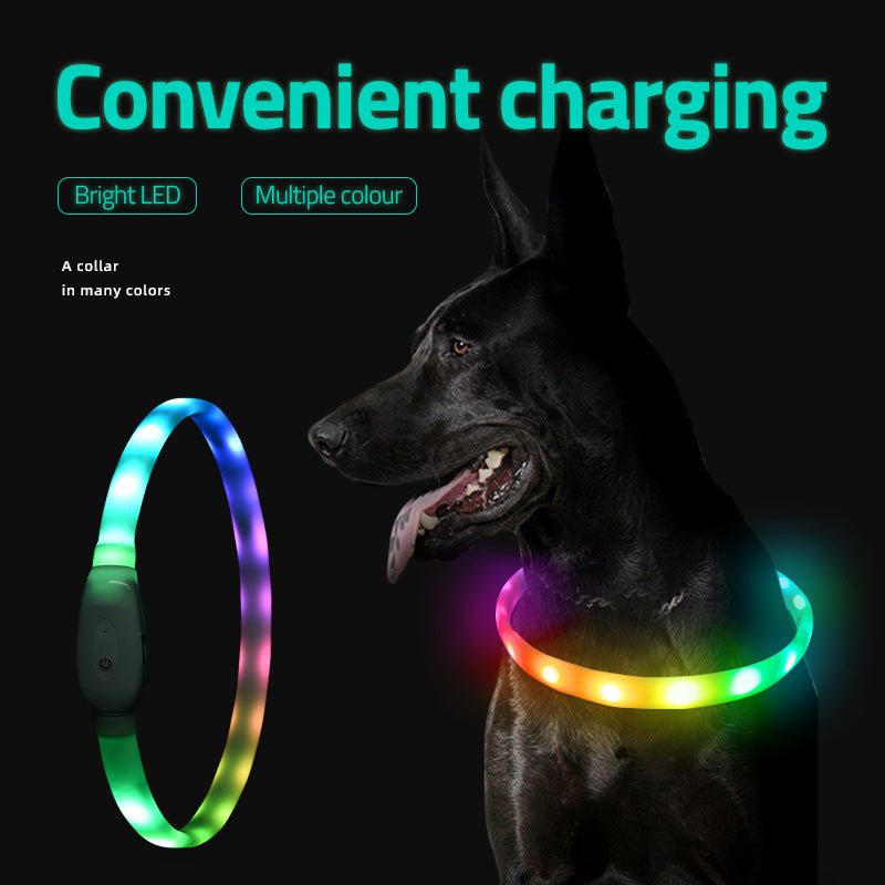 Pet Luminous Collar Pet Collar USB Charging Dog Night Aperture Led Collar Safe Dog Walking - HAYUDY