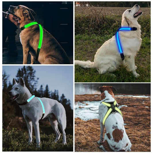 Pet supplies: explosion - proof, flushable, 8 - gear, color - changing LED, chest braces, clothes and collars with traction. - HAYUDY