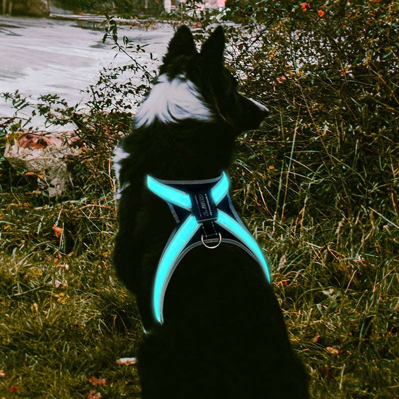 Pet supplies: explosion - proof, flushable, 8 - gear, color - changing LED, chest braces, clothes and collars with traction. - HAYUDY