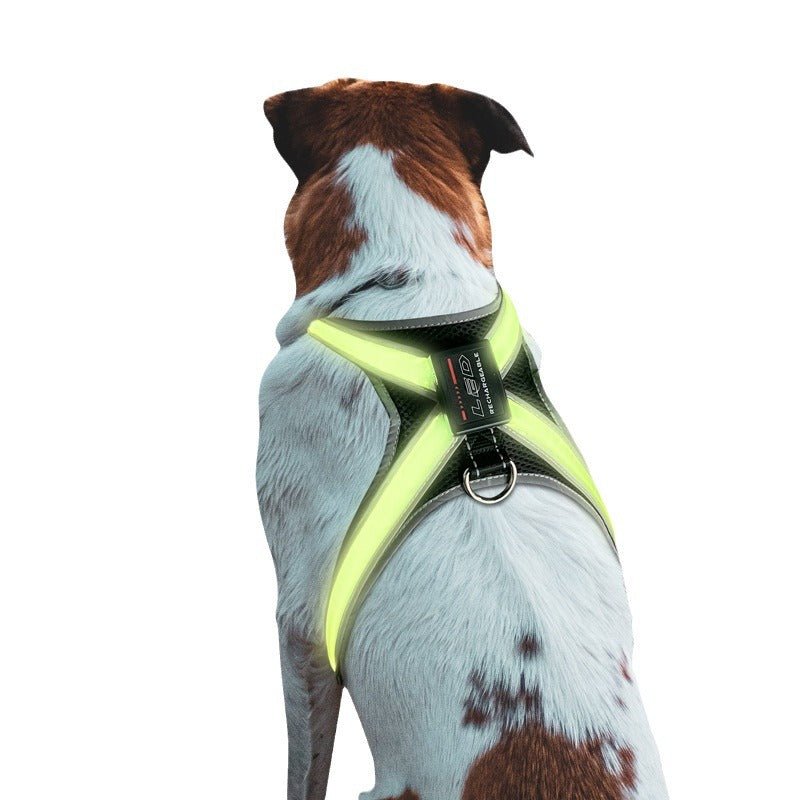 Pet supplies: explosion - proof, flushable, 8 - gear, color - changing LED, chest braces, clothes and collars with traction. - HAYUDY