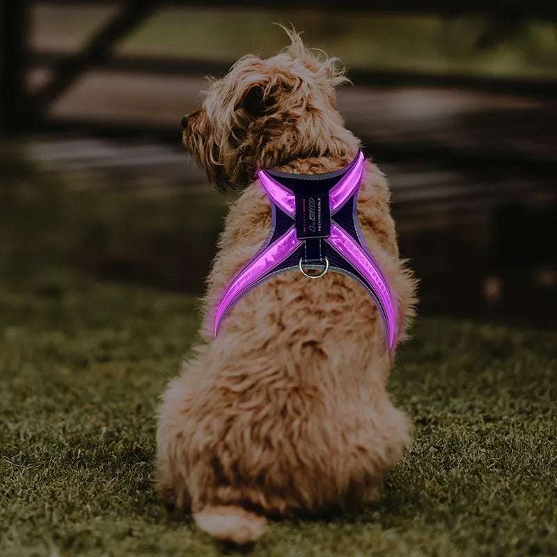 Pet supplies: explosion - proof, flushable, 8 - gear, color - changing LED, chest braces, clothes and collars with traction. - HAYUDY